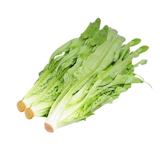 琼中县 油麦菜