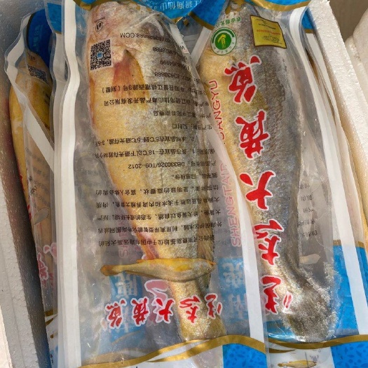 乐清市 养殖黄鱼中的vip南麂大黄鱼冰冻7-9两200条