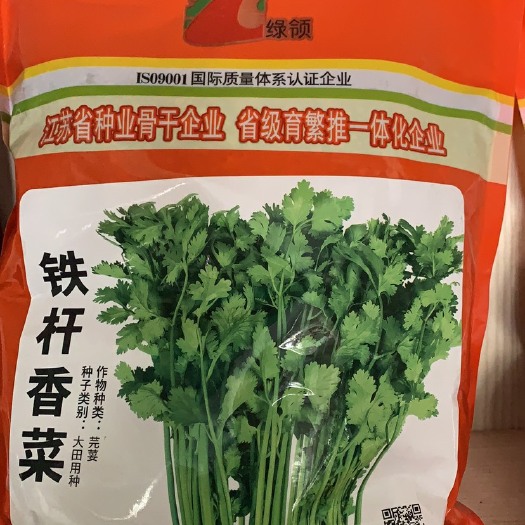 扶沟县香菜籽  耐热，耐寒生长块，耐抽苔，品质优