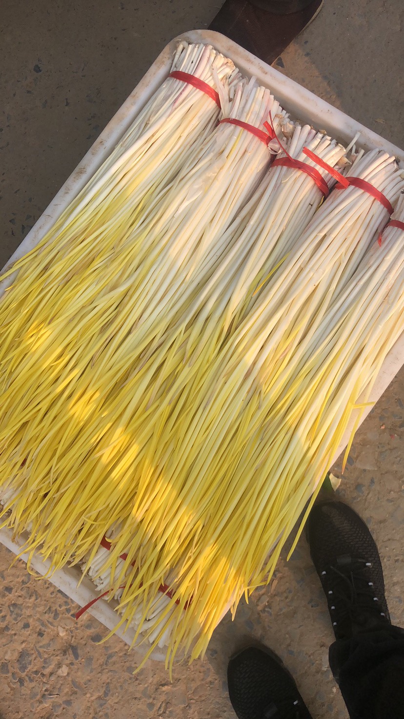 兰陵县精品蒜黄，大量有货，质量保证，产地直销