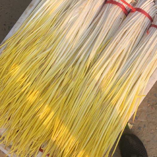 兰陵县精品蒜黄，大量有货，质量保证，产地直销