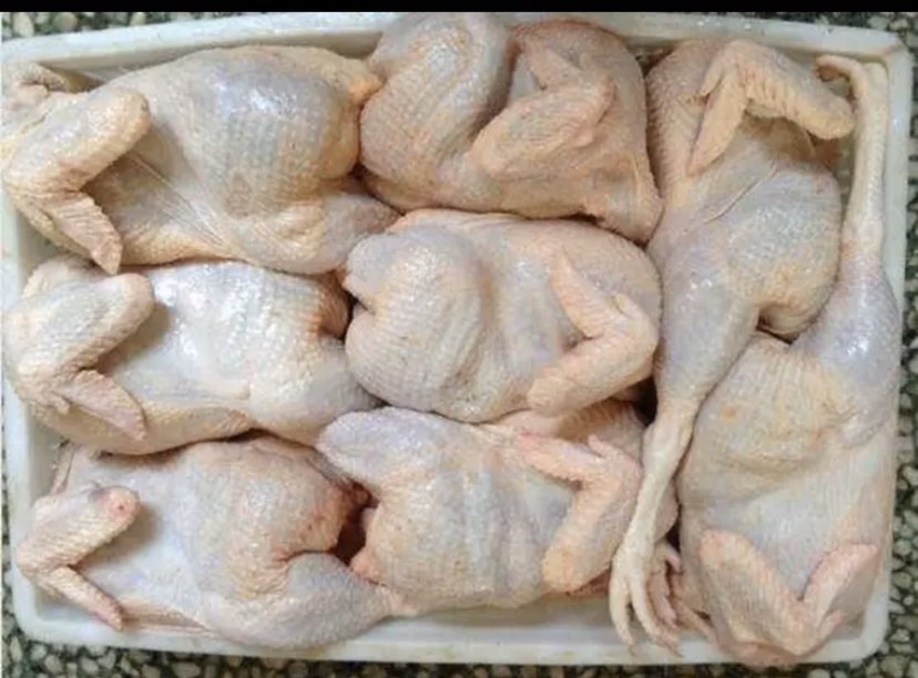 [白条鸡批发] 新鲜白条鸡,53一斤价格53元/斤 