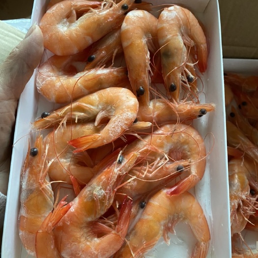 佛山明虾 熟虾：适合宴会酒席，家庭自用老少皆宜肉质鲜美可口！