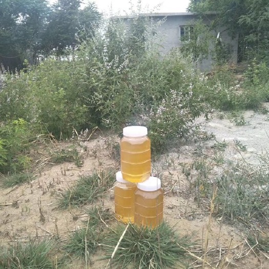 北京 天然百花蜜纯手工摇蜜 不添加防腐剂添加剂蔗糖 天然蜂蜜