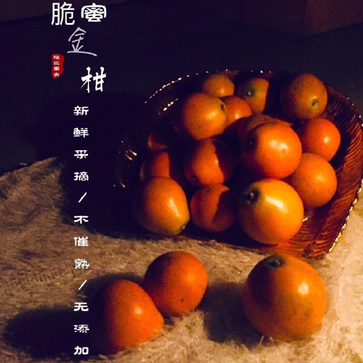 全州县脆蜜金桔  桂北果夫2021应季新鲜水果果园直销脆蜜金柑