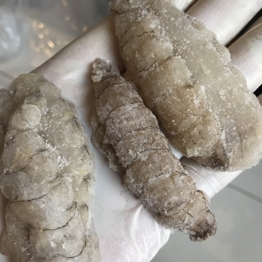  单冻皮皮虾肉