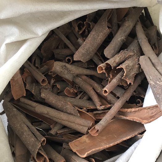 平南县普通桂皮