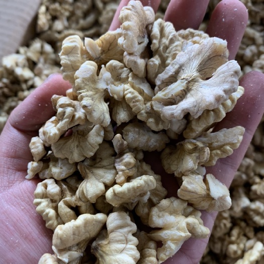 云南去皮核桃仁现货供应 自然核桃 肉色白 核仁大