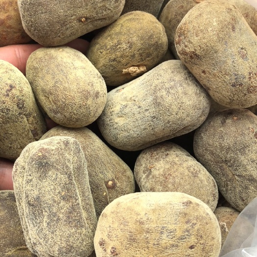 化橘红压果