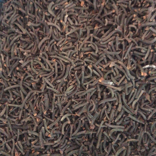 平南县肉桂 一级纯桂丁