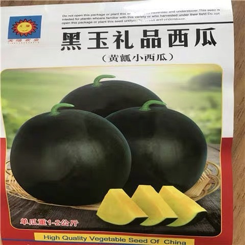 沭阳县 黑玉礼品西瓜种子黑皮黄壤无籽西瓜