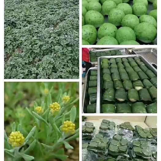 溆浦县 纯手工製作的艾叶粑粑