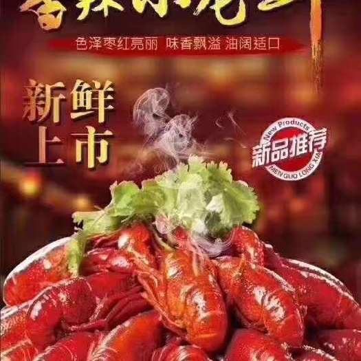 深圳 本公司推荐：小龙虾半成品使用专门提供餐饮行业