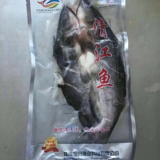 深圳冷冻清江鱼 腌制清江鱼