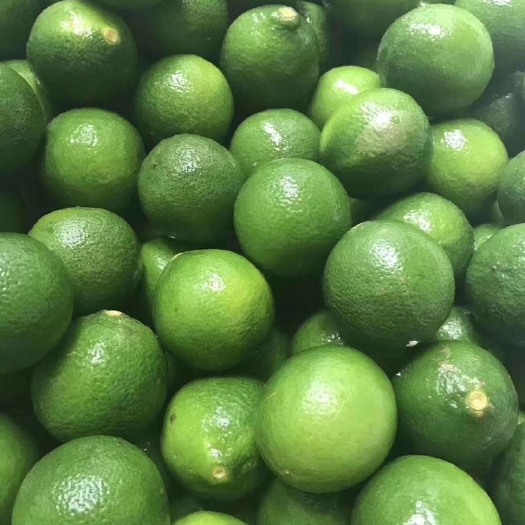 昆明香水柠檬 泰国无籽柠木檬