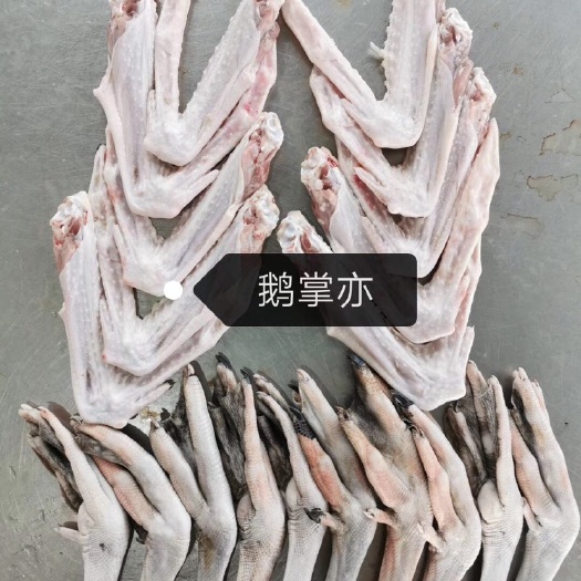 佛山鹅掌翅