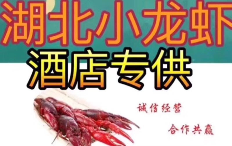 潜江市 潜江清水小龙虾 大青6-9硬规格