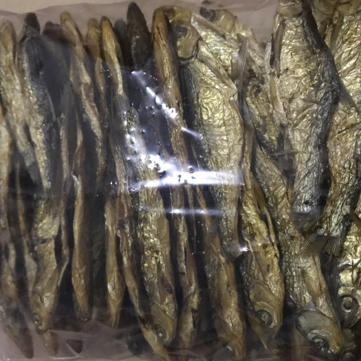 芷江县风干鱼 本人专业卖自己去小河里网的干鱼仔有需要的朋友欢迎光临