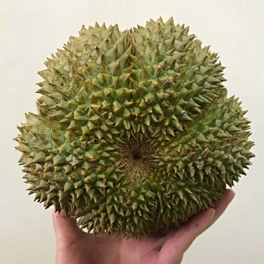 昆明 泰国甲仑榴莲 2-3斤85元包邮 榴莲香味浓郁 果肉饱满！