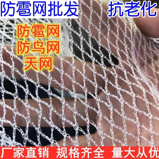 安平县防虫网 防雹网厂家果树果园白色防冰雹网葡萄防雹网全新料抗老化天网
