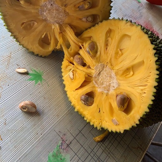 万宁市 海南黄肉菠萝蜜，包邮包售后