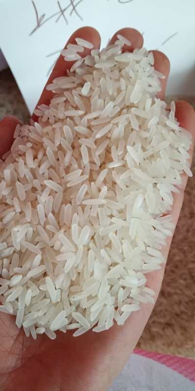 南宁上林香米 上林九七香煲仔饭专用米