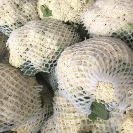 白菜，绍菜，花菜品种优良