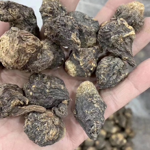 黑玛咖 长白山黑玛卡