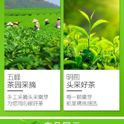 宜都市 湖北五峰的高山绿茶，海拔1300米的高山，还原大自然的味道