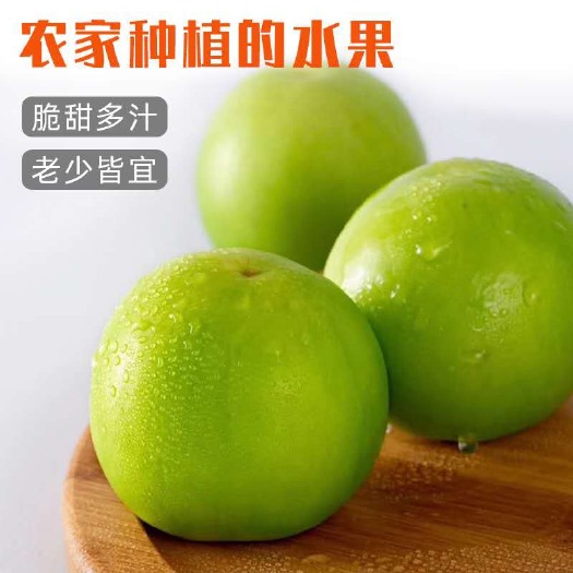 漳州【牛奶贵妃青枣5斤箱】新鲜脆片青枣一件代发包邮