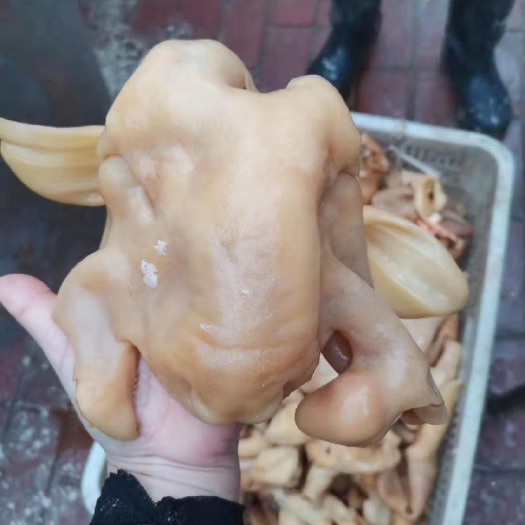 阳信县 熟羊脸皮