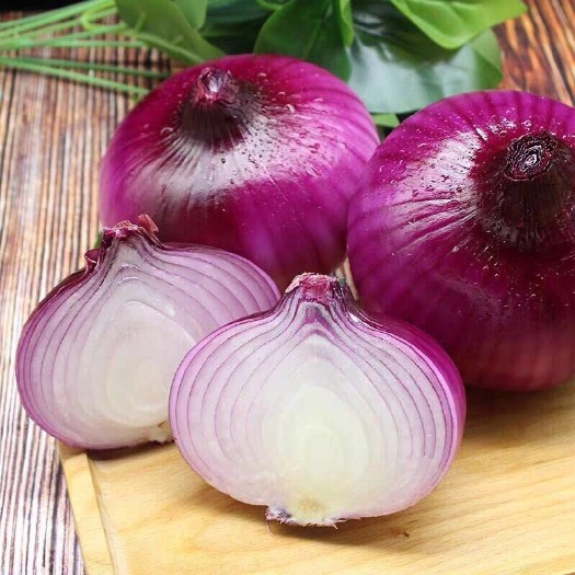昆明 云南新鲜现挖紫皮洋葱时令蔬菜5斤/9斤包邮
