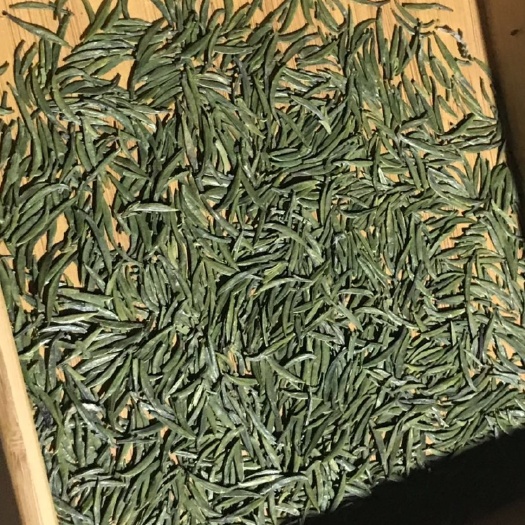 荥经县高山野生茶 高山茶产地直销竹叶青、蒙顶甘露、雨花