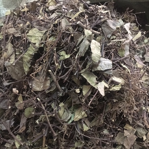  络石藤中药材批发