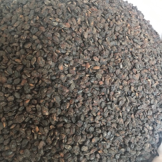  淡豆豉淡豆豉