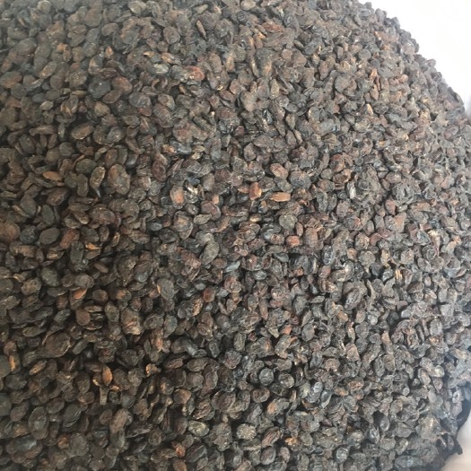 玉林 淡豆豉淡豆豉