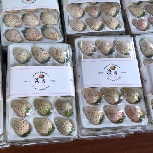 烟台淡雪草莓 20克以上