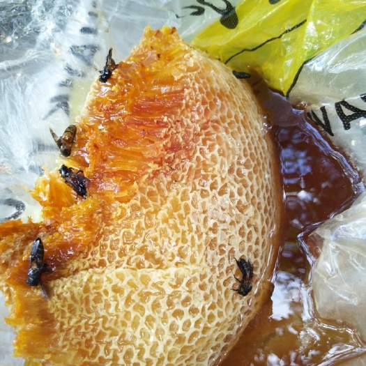 屯昌县野生蜂蜜 塑料瓶装 1年 98%