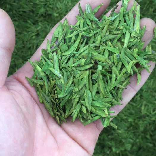 滕州市 龙井茶 浙江茶 浙江龙井茶