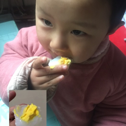 莘县种鸽蛋 食用 礼盒装