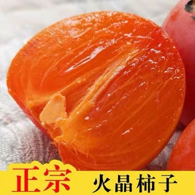 上海火晶柿子苗  火晶柿子树苗 当年结果嫁接包品种成活接果