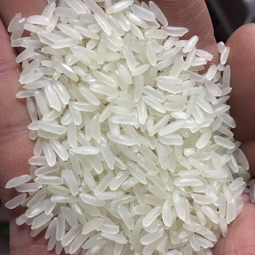 宁波长粒稻大米 一等品 晚稻 籼米