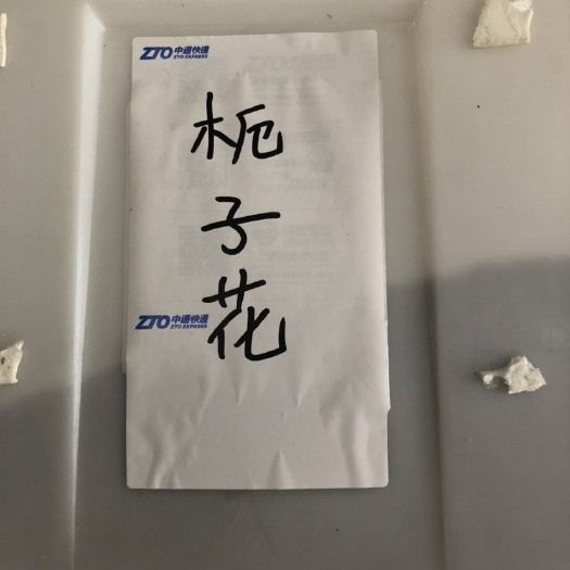 沭阳县栀子花种子