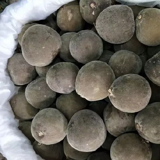 玉林 批发陈年正金毛化州橘红果