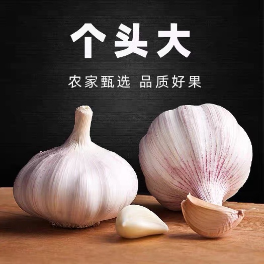 邳州市邳州大蒜 鲜蒜农家自产！鲜蒜原汁原味！放心实惠！