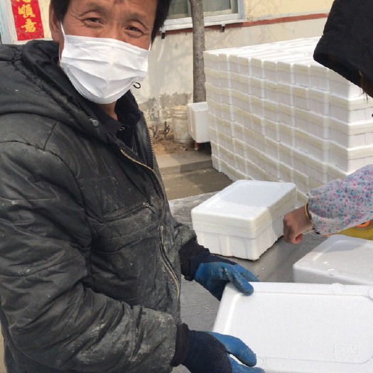 连云港花边牡蛎。肥度饱满。可接小箱