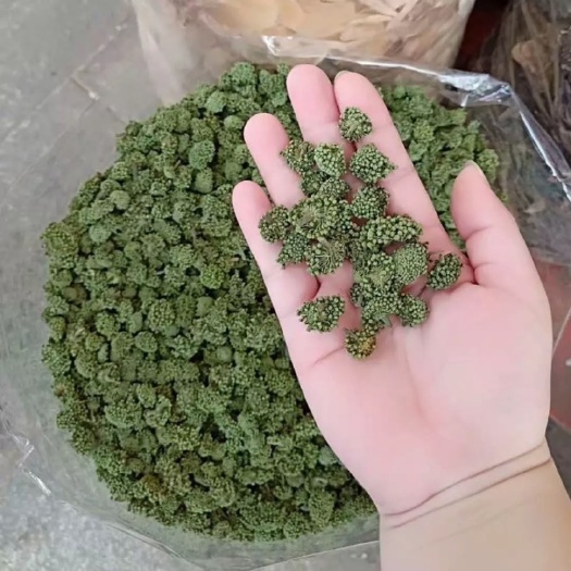  三七花