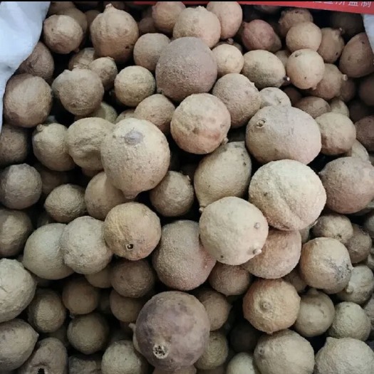 玉林 中药材屈头鸡