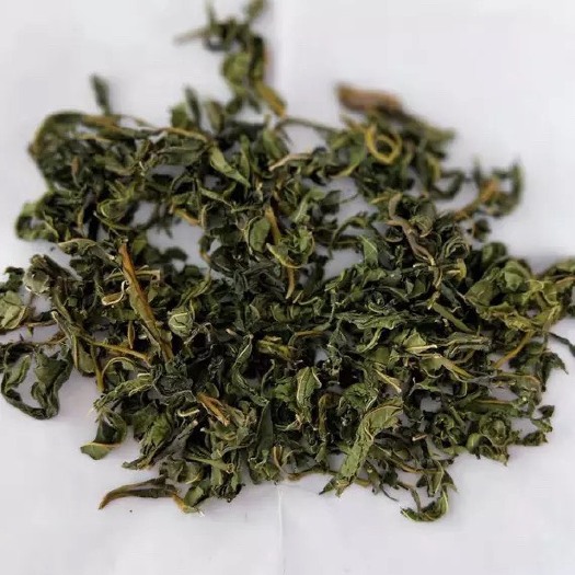 玉林 桑叶茶