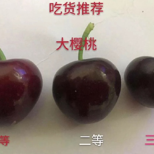 瓦房店市 瓦房店美早大樱桃现货